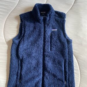 Patagonia Mens Navy Fleece Vest